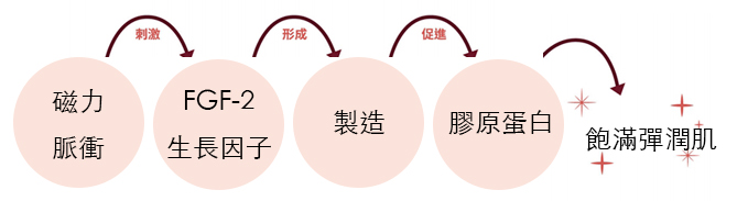 膠原蛋白新生工廠